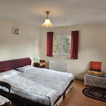 Apartament Retro-Relax Синая Экстерьер фото